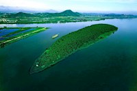 旱情引发咸潮上溯，PA捕鱼未雨绸缪保供水，呼吁市民节约用水！